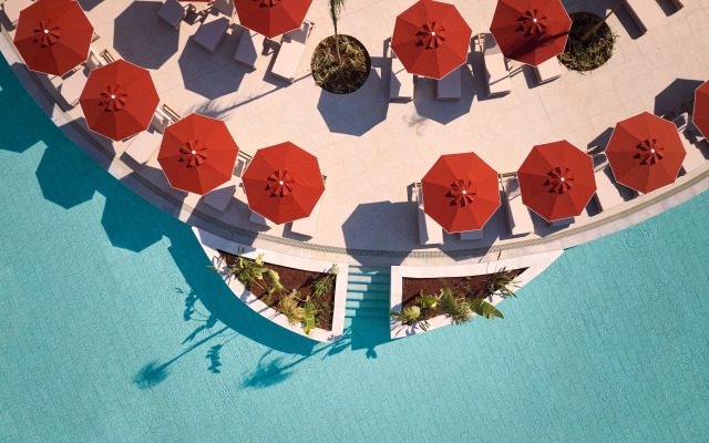 Paloma Grida - All Inclusive