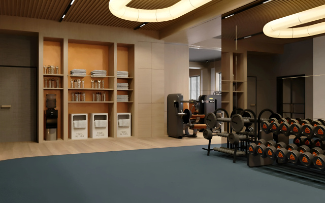 Radisson Blu , Almaty Airport