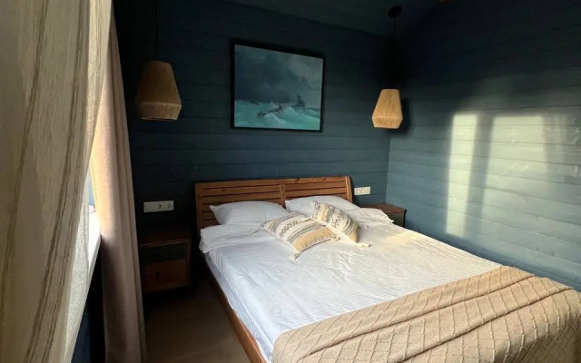 Частный дом Айвазовский в Завидово