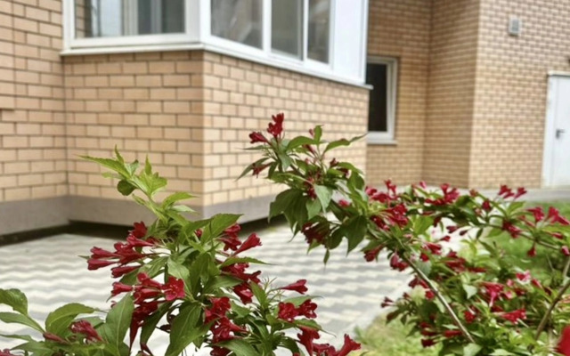 Квартира Красная площадь