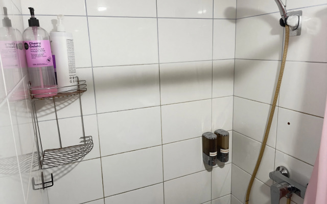 Апартаменты Roomstay Большой Делюкс