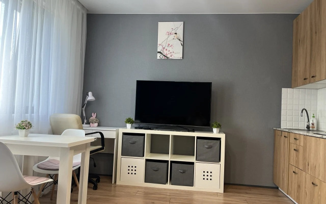 Апартаменты "DaRent Karelia" на Октябрьской 4а