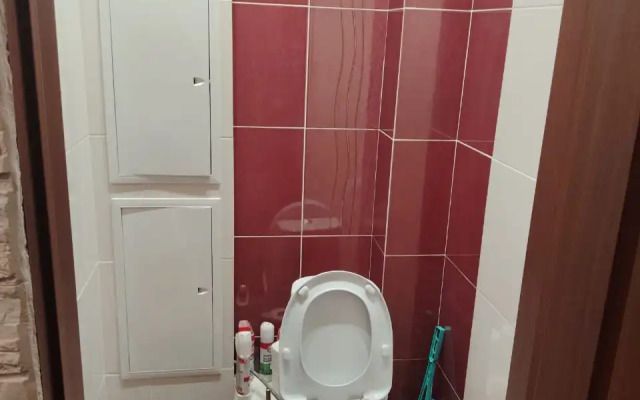 V Tsentre Apartments