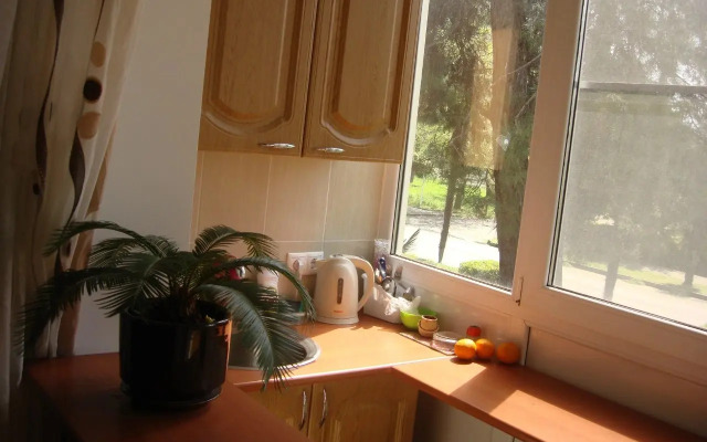 Odnokomnatnaya na Ulitse Abazgaa 43/1 Flat