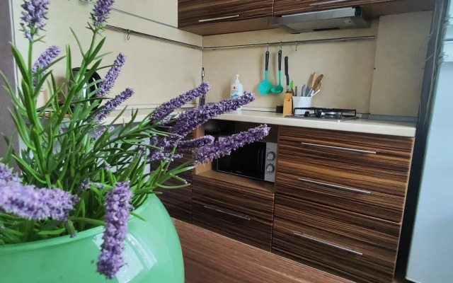 Den I Noch U Zebry Flat