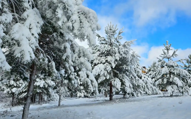 Частный дом Уница 120кв.м на первой линии озера Селигере