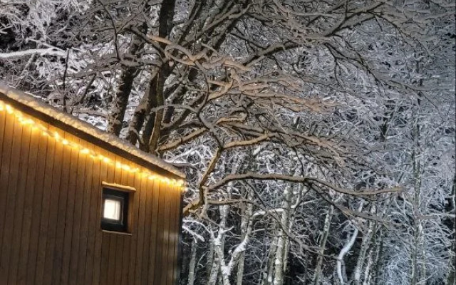 Частный дом Коттедж Аскелма-Ольха