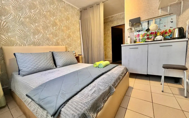 Апартаменты Мини-студия Эконом Уютно Центр