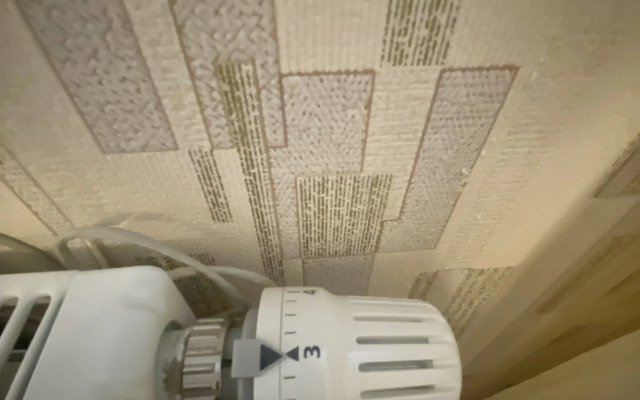 Квартира Кушелевка