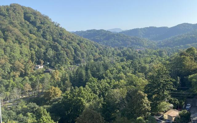 Dizaynerskaya Studiya S Panoramnym Vidom Flat
