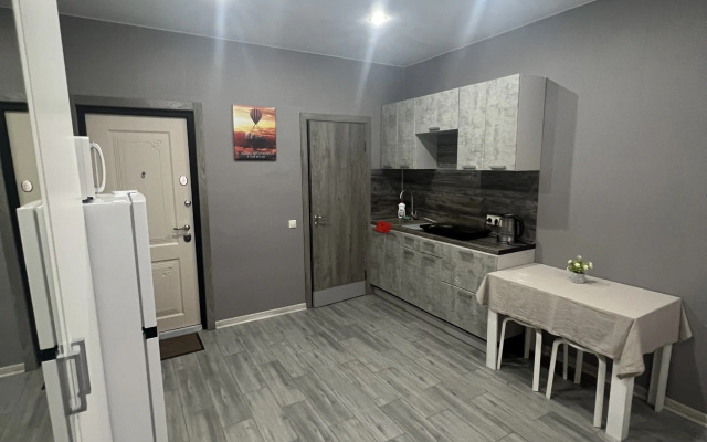 Studiya Na Vidova Flat