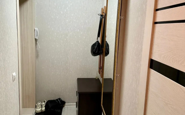 Dvukhkomnatnye Apartamenty V Tsentre Goroda Apartments