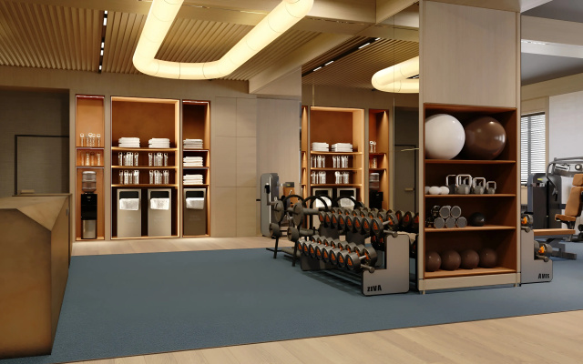 Radisson Blu , Almaty Airport