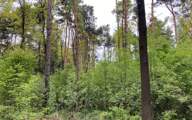 V Zhk Novoye Biserovo Flat