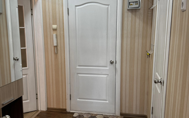 Квартира на проспекте Кирова, 20к2