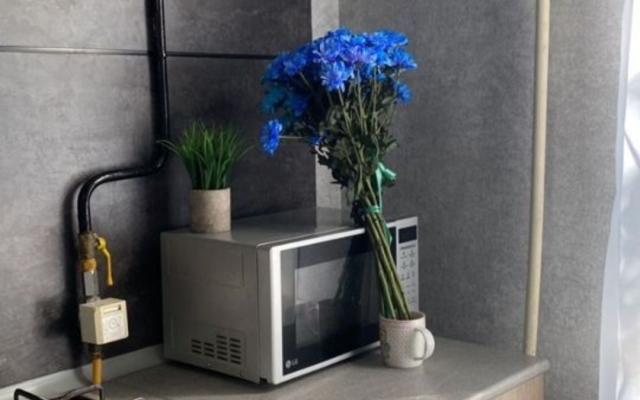 Квартира Однокомнатная на Шеронова