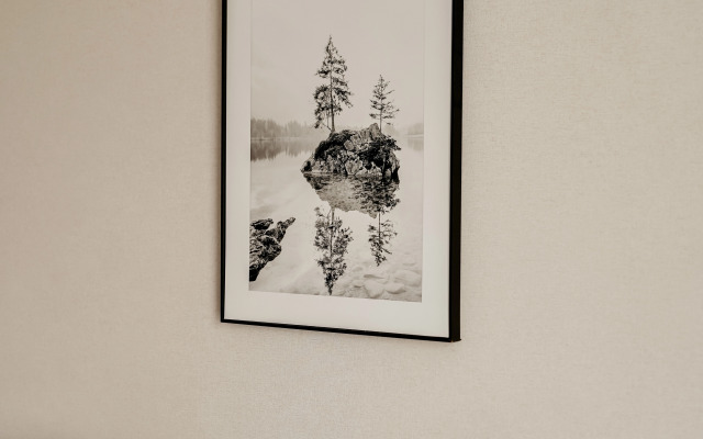 Апартаменты Abramov Scandi