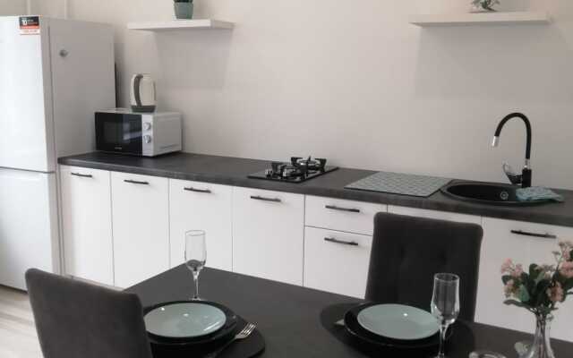 Апартаменты на Толстого 4