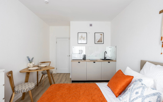 Uyutnaya Studiya U Zaliva Apartments