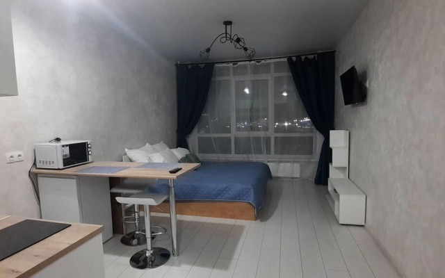 Квартира на Притомском проспекте 25