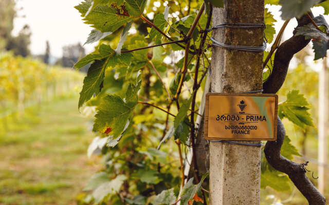 Chateau Kvirike