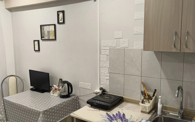 Апартаменты «Стильная мини-студия рядом с Мамаевым курганом»