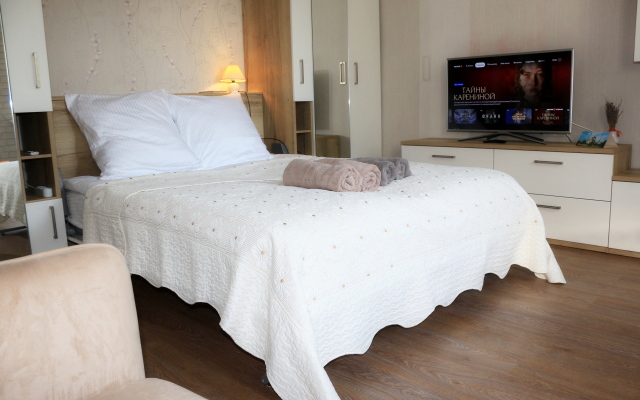 Niceaparts Maksimova, 7 Istoricheskiy tsentr g. Yaroslavlya Flat