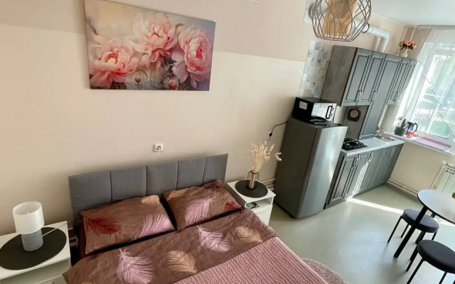 Апартаменты Нежность у реки Волга