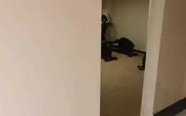 Апартаменты Шереметьевская