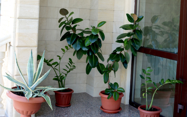 Kristall Hotel
