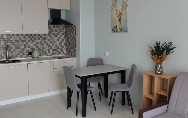 Novaya Yevrodvushka Ryadom Strelna Petergof I Plyazh Flat