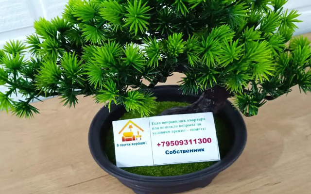 Квартира с дизайнерским ремонтом возле парка Первомайский