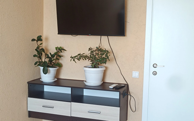 S Vidom Na Reku Kazanku Flat