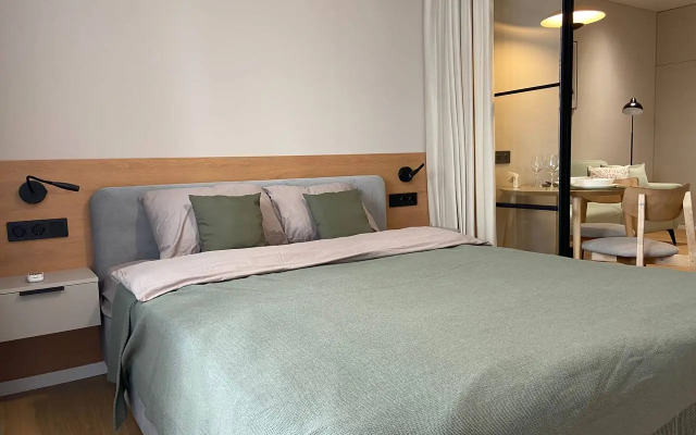 Uyutnaya studiya v tsentre goroda Flat