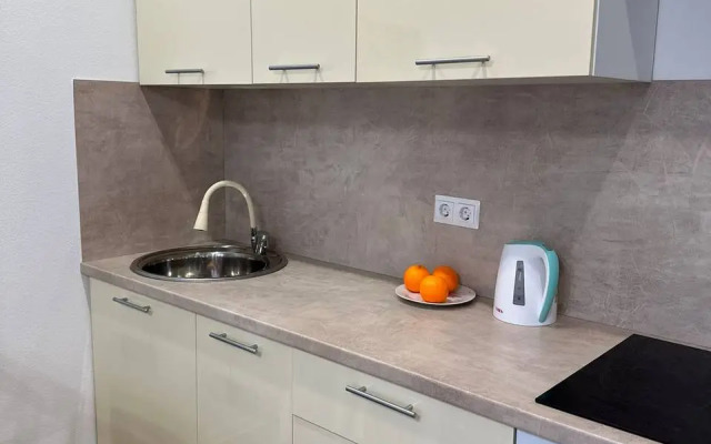 Studiya Okolo Ostrova Mechty I Parka Kolomenskoye Flat