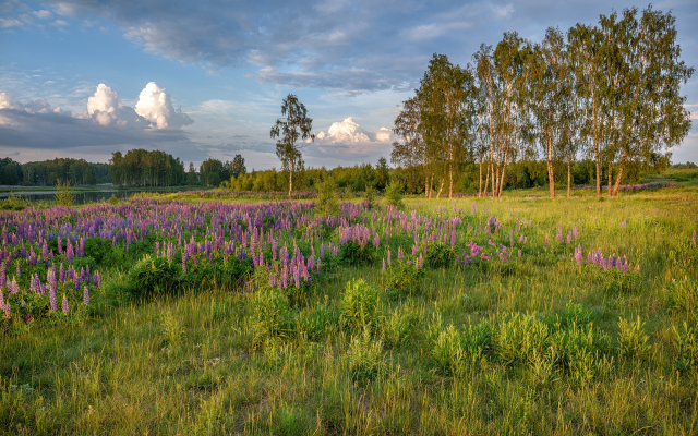 Частный дом с камином Речная Заимка