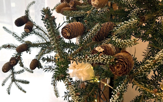 Отель Традиция