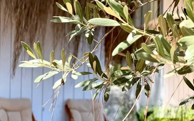 Отель Z-Villas Beach Hotel