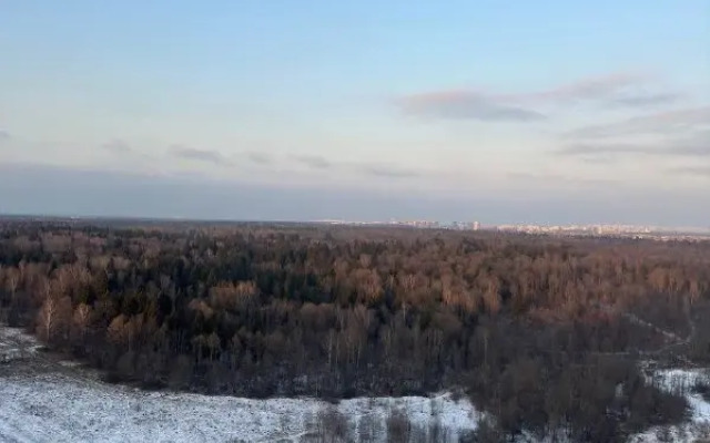 Krasivaya Studiya Flat