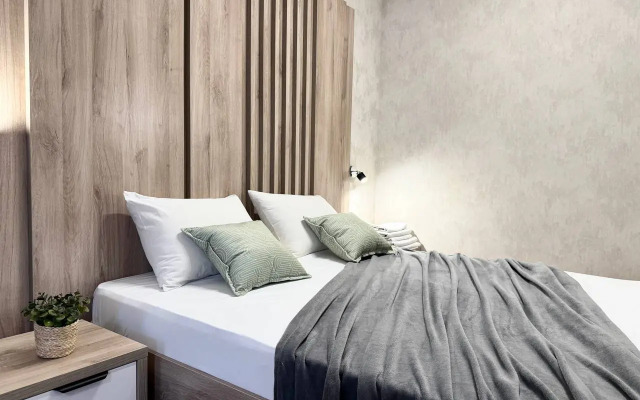 Апартаменты Большая студия