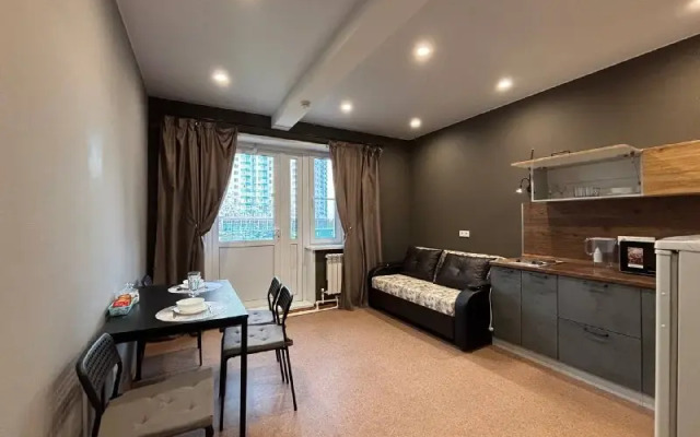 Uyutnaya Dlya Otdykha I Delovykh Poyezdok Flat
