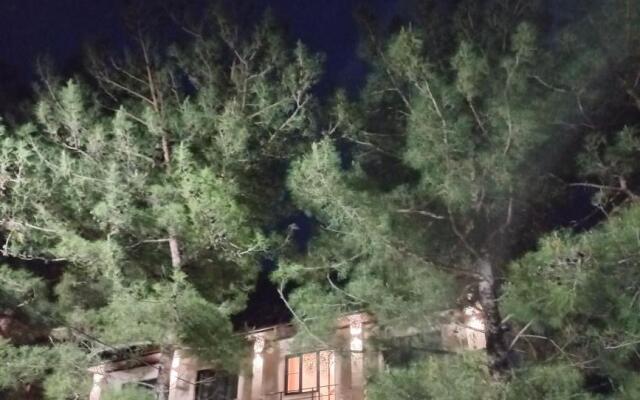 Lyudmila Guest House