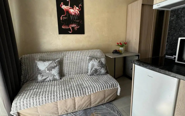 Апартаменты Студия в Отеле Клевер