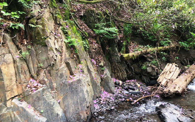 База отдыха Панорама