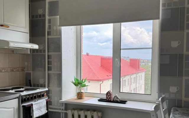 Uyutnie S Lodzhiey Apartments