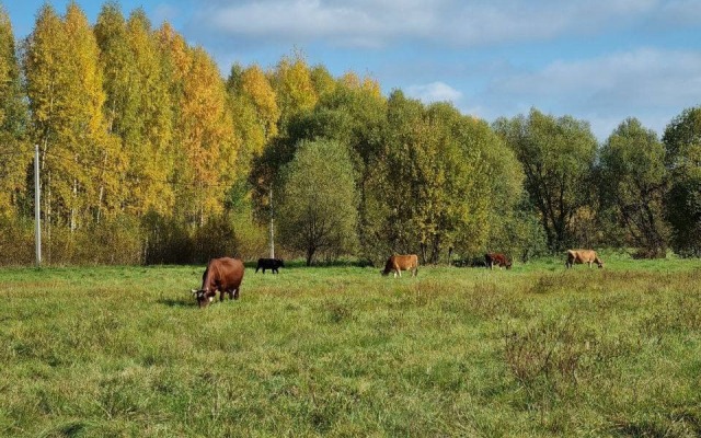The Поле - дизайнерский дом с банным комплексом