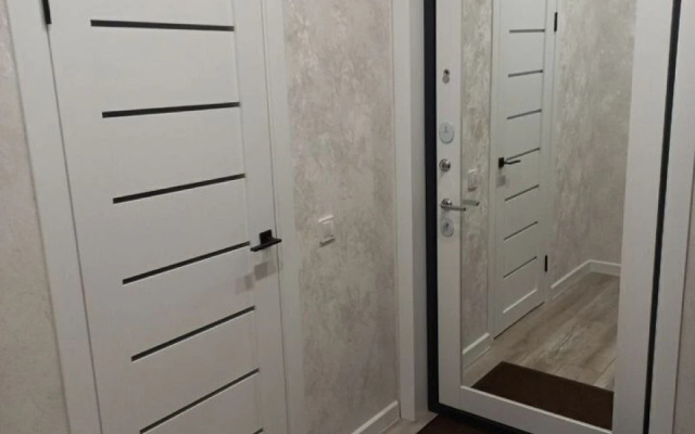 1-Komnatnaya S Otlichnym Remontom Flat