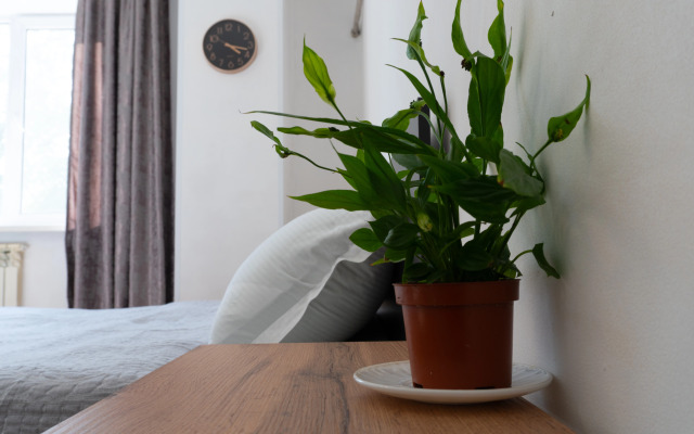 Квартира Уютная студия в центре города для 2-х гостей