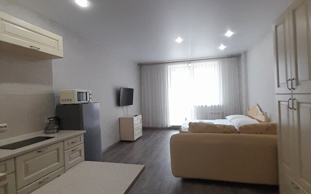 Апартаменты Студия на Светлогорском переулке