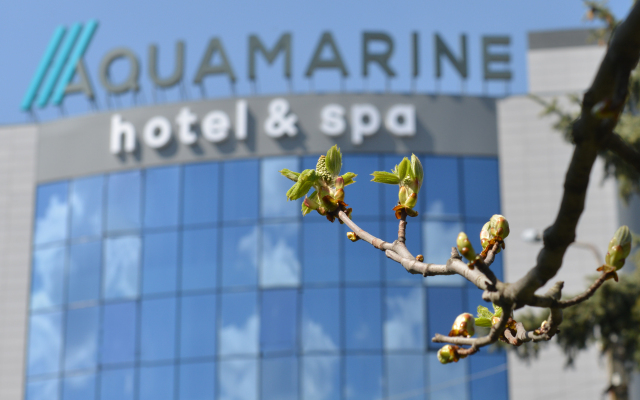 Отель Aquamarine hotel&spa